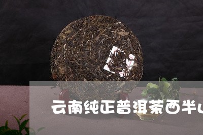 云南纯正普洱茶西半山/2023100865039