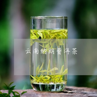 云南纳朗普洱茶/2023120383826