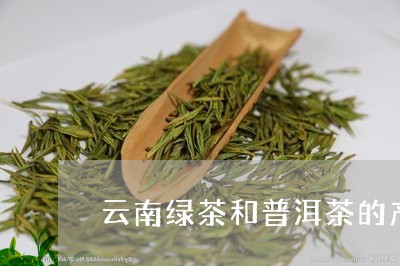 云南绿茶和普洱茶的产量对比/2023082819585