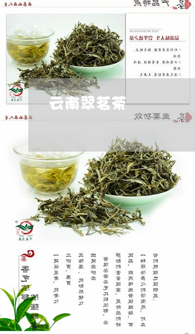 云南翠茗茶/2023041831207