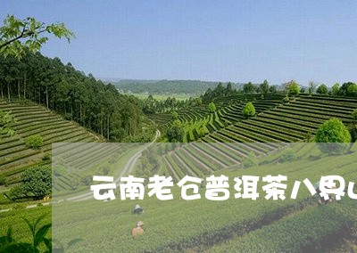 云南老仓普洱茶八界山/2023092533615