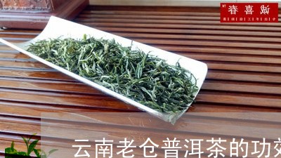 云南老仓普洱茶的功效/2023093079592