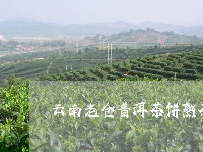 云南老仓普洱茶饼熟茶7012/2023110458259