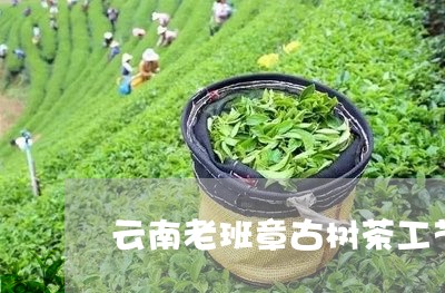 云南老班章古树茶工艺/2023061287140