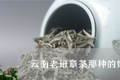 云南老班章茶那种的好/2023092316359