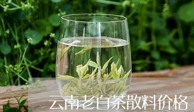 云南老白茶散料价格/2023121605037