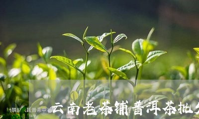 云南老茶铺普洱茶批发/2023100730491