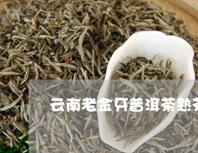 云南老金牙普洱茶熟茶/2023120688825