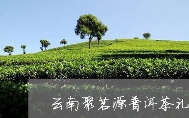 云南聚茗源普洱茶礼盒/2023073113728