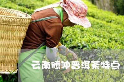 云南腾冲普洱茶特点/2023091471615