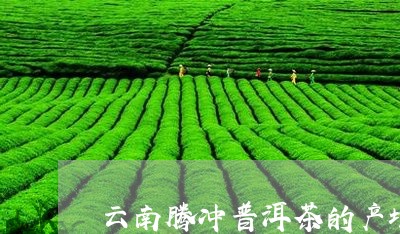 云南腾冲普洱茶的产地/2023080128361