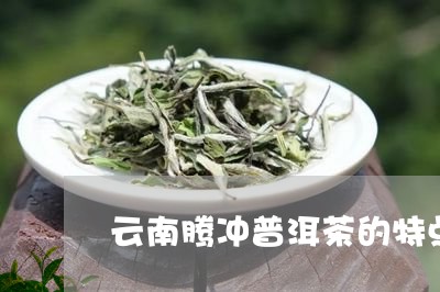 云南腾冲普洱茶的特点/2023062547482