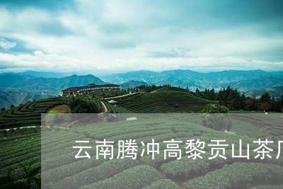 云南腾冲高黎贡山茶厂/2023071682837