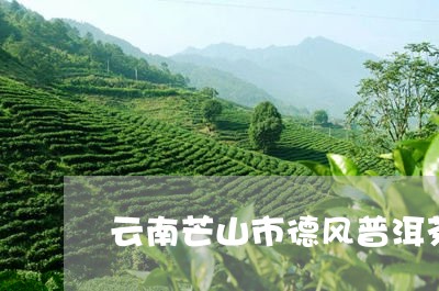 云南芒山市德风普洱茶/2023072332505