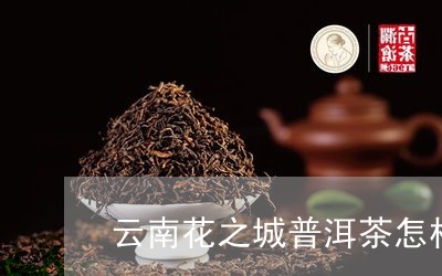 云南花之城普洱茶怎样/2023120612595