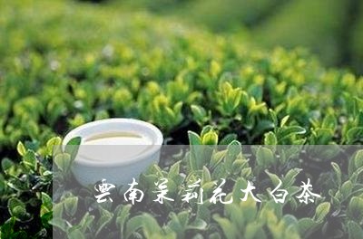 云南茉莉花大白茶/2023061411693