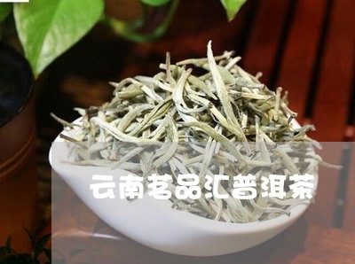 云南茗品汇普洱茶/2023073110713