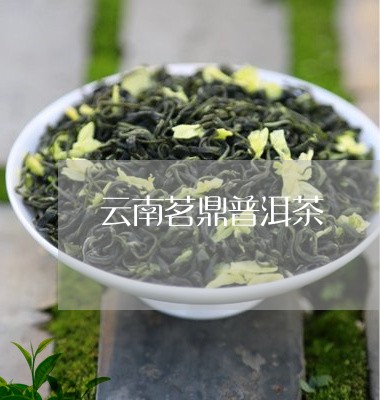 云南茗鼎普洱茶/2023101606260