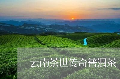 云南茶世传奇普洱茶/2023091580835