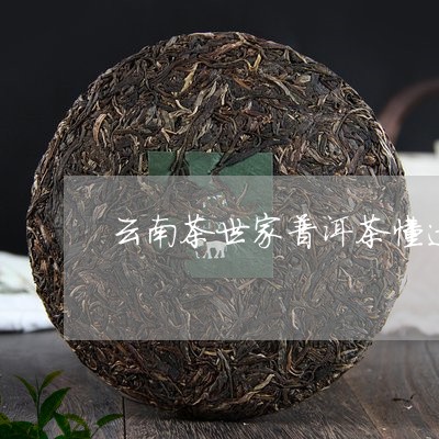 云南茶世家普洱茶懂过/2023063086157