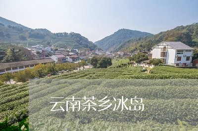 云南茶乡冰岛/2023090704826