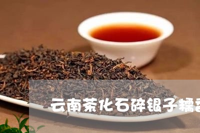 云南茶化石碎银子糯香普洱茶/2023052799703