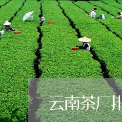 云南茶厂排名云南4大茶厂/2023051274826