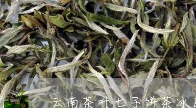 云南茶叶七子饼茶冰岛/2023061286248