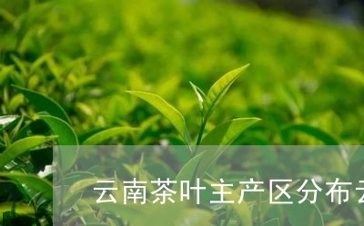 云南茶叶主产区分布云南茶叶分布图/2023060437492