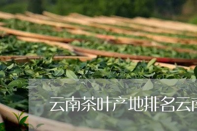 云南茶叶产地排名云南茶叶产量排名/2023060428162