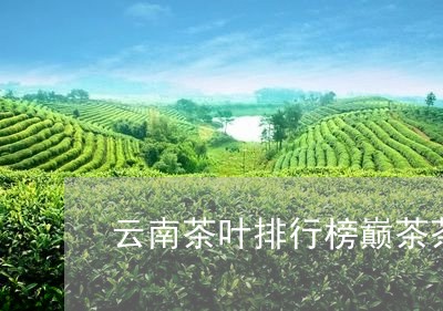 云南茶叶排行榜巅茶茶业官网/2023052617371