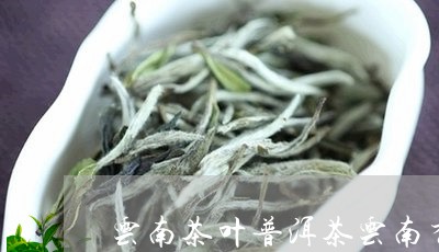 云南茶叶普洱茶云南秀林普洱茶厂/2023060371825