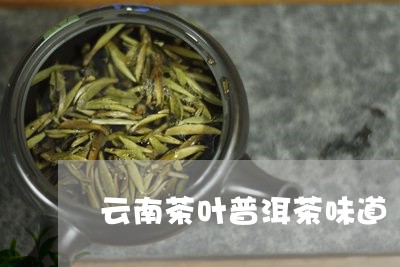 云南茶叶普洱茶味道/2023101712504