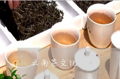 云南茶文化/2023090263726