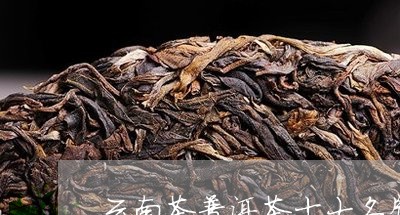 云南茶普洱茶十大名牌/2023062290472