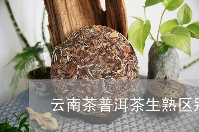 云南茶普洱茶生熟区别/2023062837058