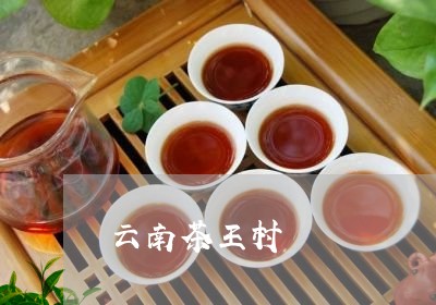 云南茶王村/2023041749218