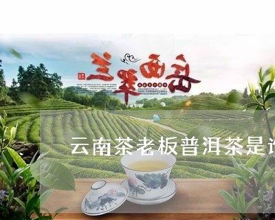 云南茶老板普洱茶是谁/2023120685947