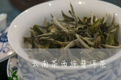 云南茶西施普洱茶/2023120441705