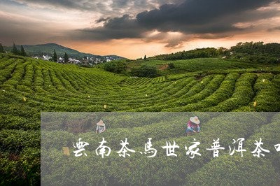 云南茶马世家普洱茶叶/2023100741505