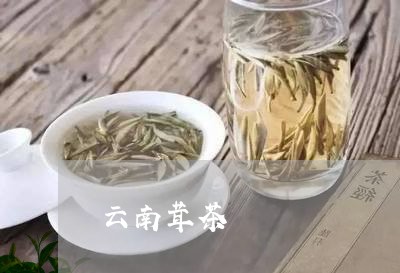 云南茸茶/2023121809381