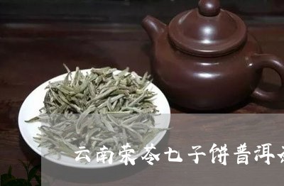 云南荣苓七子饼普洱茶/2023072369683