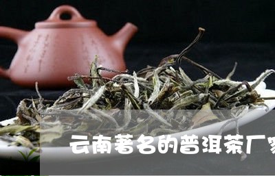 云南著名的普洱茶厂家普洱十大名寨/2023060382825