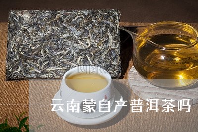 云南蒙自产普洱茶吗/2023120519682