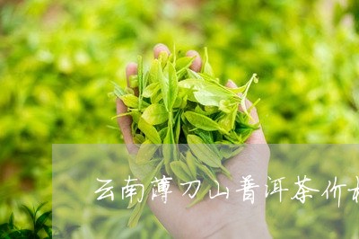 云南薄刀山普洱茶价格/2023100618251