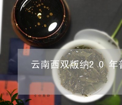 云南西双版纳20年普洱茶珍藏版/2023110362947