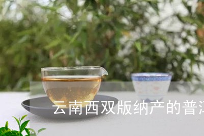 云南西双版纳产的普洱茶/2023122006169