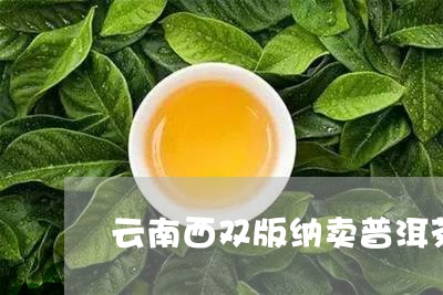 云南西双版纳卖普洱茶的小哥哥/2023082699375