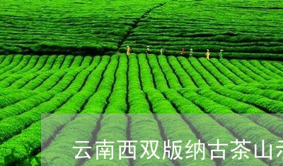 云南西双版纳古茶山示意图/2023051283957