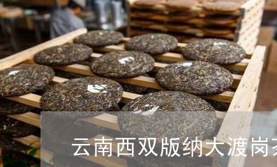 云南西双版纳大渡岗茶2007年/2023060297481